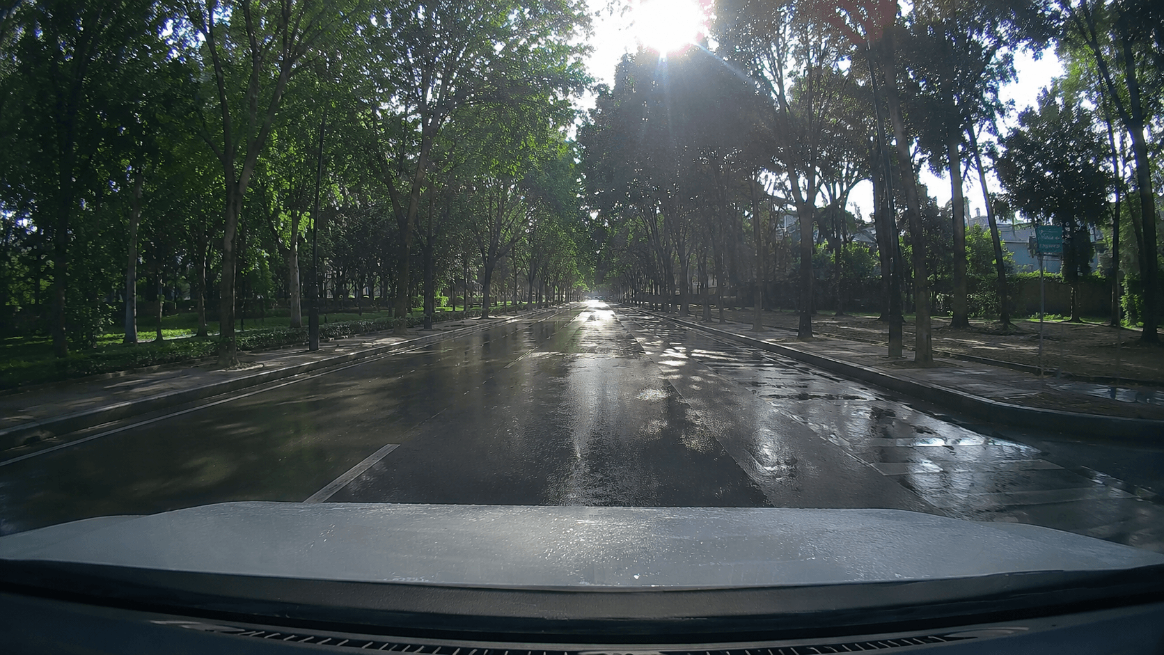 Rainy road through tree-lined street